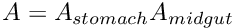 $ A = A_{stomach} A_{midgut} $